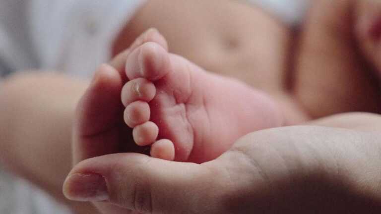 Maternità surrogata, via libera in Puglia alla trascrizione dei certificati di nascita