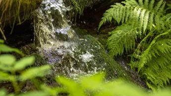 Galleria foto 'Sanpellegrino, in 5 anni risparmiati 295 mln litri di acqua nei processi produttivi' - foto 1