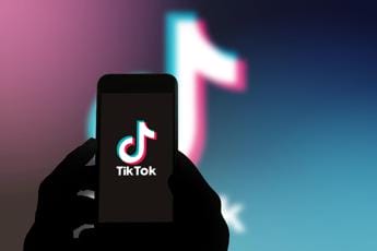 Galleria foto 'TikTok e sicurezza, anche la Nuova Zelanda lo vieta' - foto 1
