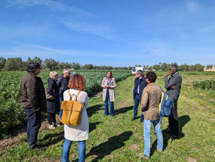 Un’altra terra: a Bisceglie una seconda possibilità grazie alla coltivazione