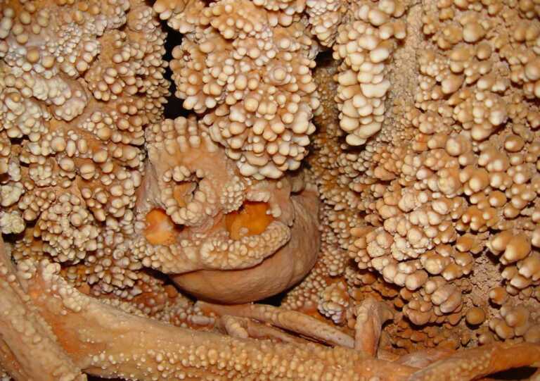 Dal cranio dell’uomo di Altamura novità sull’evoluzione dei Neanderthal: lo studio su “Communications Biology”
