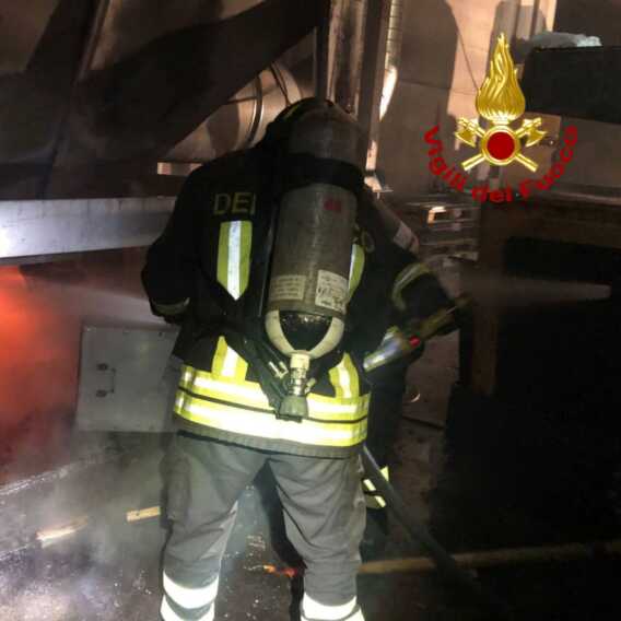 Incendio in un capannone nel Materano: morti 1.500 maiali