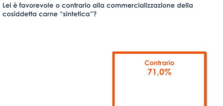 Galleria foto 'Carne sintetica, 7 italiani su 10 sono contrari alla commercializzazione' - foto 1