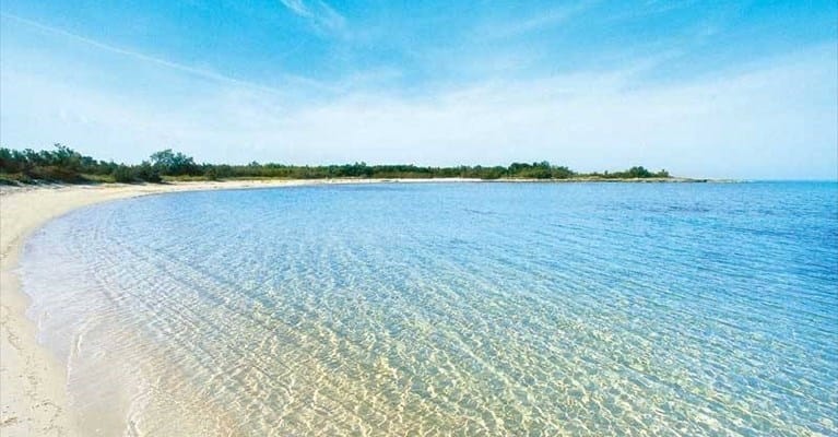 Galleria foto '<strong>A Brindisi il Movimento Regione Salento candida Luperti sindaco</strong>‘ – foto 1″ />
					</a>
				</div>
			</div>
		</div>
		<div>
			<i id=