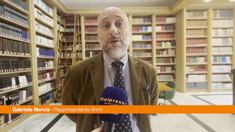 Galleria foto 'Inail, Anmi “Situazione critica, scioperiamo per attirare attenzione”' - foto 1