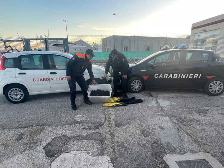 Sorpreso a pescare ricci di mare a Mattinata: 2mila euro di multa per un pescatore della Bat