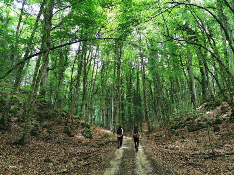 Galleria foto 'Il lato più “green” della Puglia: dalla Foresta Umbra ai trabucchi, il Gargano approda sul “The Guardian” – FOTO' - foto 1