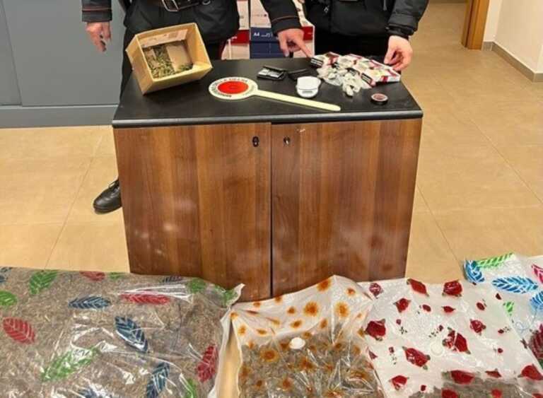 Locorotondo, il pastore tedesco Fighter scova 13 chili di marijuana in un ripostiglio: arrestato un 34enne