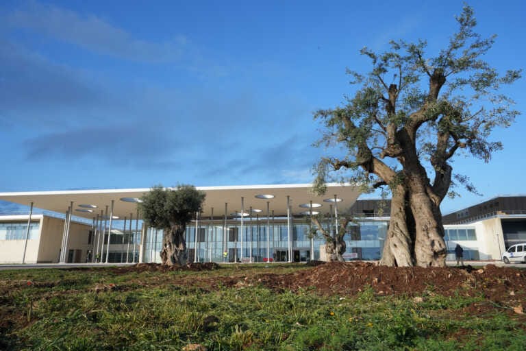 Galleria foto 'Procede il cantiere del nuovo ospedale di Monopoli-Fasano: lavori all’82%. Sopralluogo di Emiliano – FOTO e VIDEO' - foto 2
