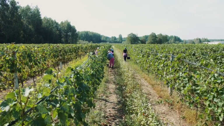 Galleria foto 'L’agriturismo vale 12,5 miliardi' - foto 1
