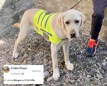 Galleria foto 'Bergamo, niente funicolare per cane di bimbo autistico: gente insorge' - foto 1