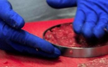 Galleria foto 'Carne sintetica Italia, chef Locatelli: “E’ buonissima”' - foto 1