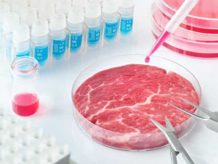 È guerra al cibo sintetico: sì bipartisan alle mozioni nel Consiglio regionale pugliese