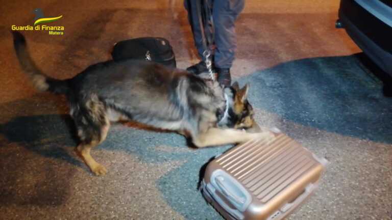 Trasporta cocaina dalla Calabria alla Puglia: fermato e arrestato a Rotondella un corriere della droga – VIDEO