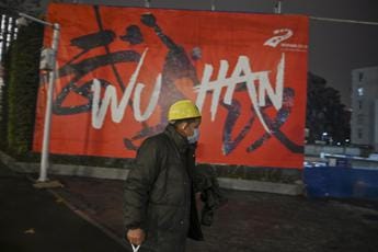 Galleria foto 'Covid, da Wuhan ad Arturo: “Verso fine pandemia con brodo varianti”' - foto 1