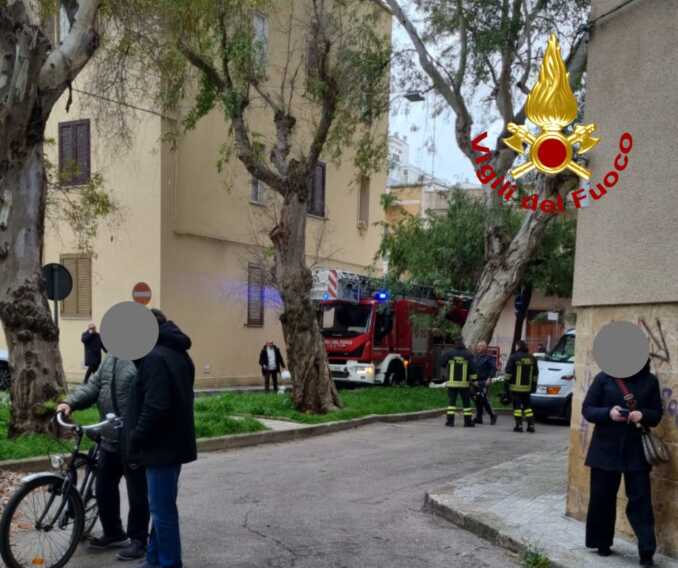 Galleria foto 'Paura a Lecce: il vento abbatte un grosso albero. Colpita un’auto in sosta' - foto 1