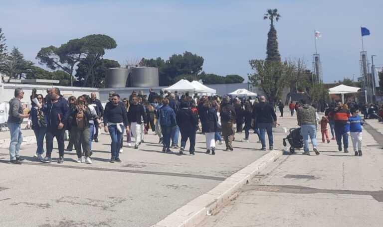 Levante Pet, gaming e modellismo: tra dimostrazioni ed esposizioni si conferma il successo di Expolevante – VIDEO
