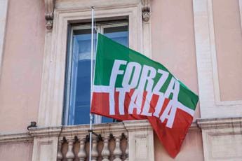 Galleria foto 'Forza Italia, tesoriere Messina: “Io depositario simbolo, impegno famiglia Berlusconi proseguirà”' - foto 1