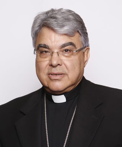 Galleria foto 'Il cardinale Semeraro: «La chiesa pratichi la cultura dell’incontro» – VIDEO' - foto 1