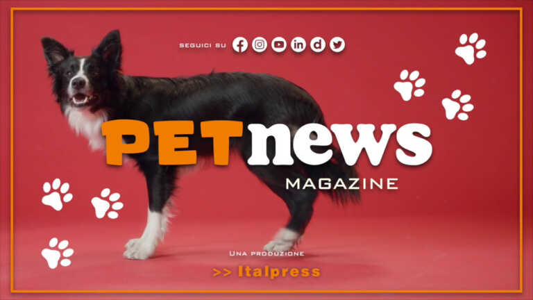 Galleria foto 'PetNews Magazine – 11/4/2023' - foto 1