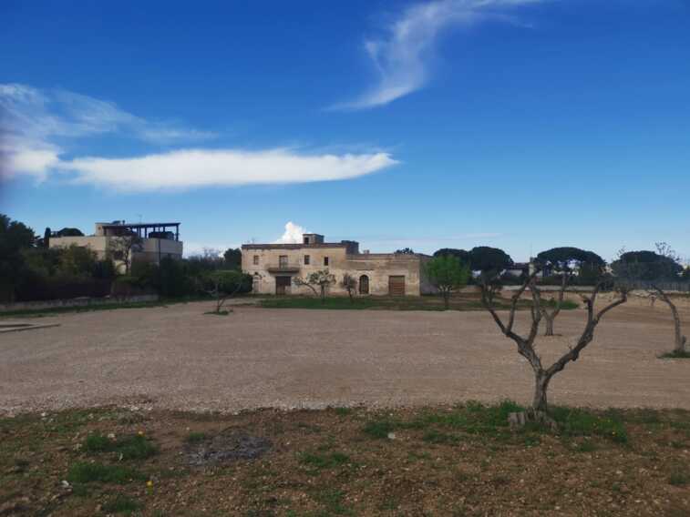 Masseria Torre Bella, vincono i volontari: un tecnico vigilerà su tutti gli interventi