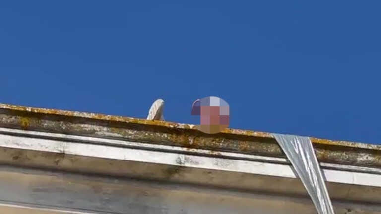 Tensione a Mesagne, un operaio sale sul terrazzo del Comune: lo fanno scendere e viene ricevuto dal sindaco