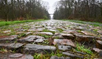 Galleria foto 'Parigi-Roubaix 2023, domani l’Italia punta su Ganna' - foto 1