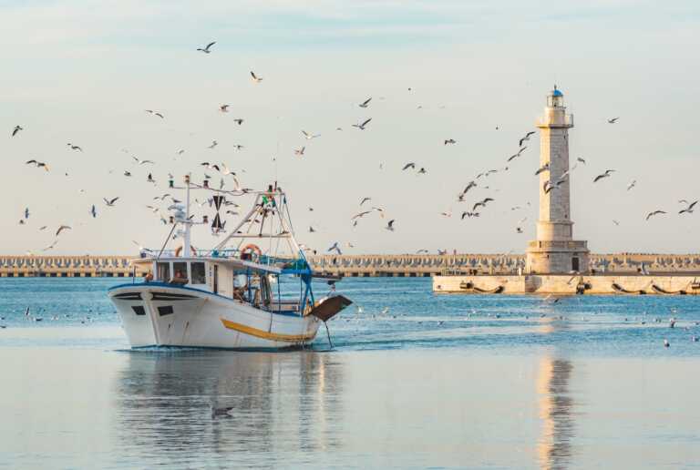 Galleria foto 'Dal mare alla tavola: le eccellenze del comparto ittico pugliese protagoniste a “Fish & Wine”' - foto 1