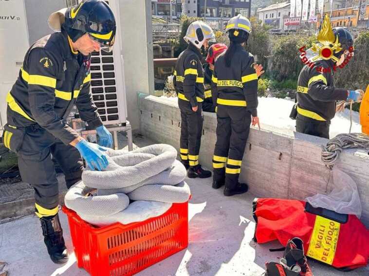 Una sostanza schiumosa invade l’alveo del torrente Tora nel Potentino: vigili del fuoco al lavoro – VIDEO Una sostanza schiumosa invade l’alveo del torrente Tora nel Potentino: vigili del fuoco al lavoro – VIDEO