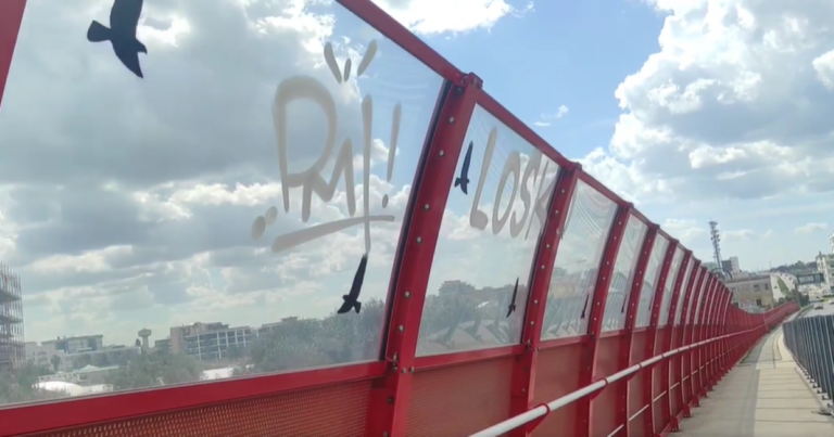 Erba alta e graffiti ovunque: anche il ponte Adriatico è nel degrado a Bari. I residenti del Libertà: «Tutto tace»