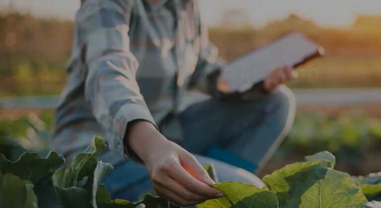 Agritech, al via da Lecce il roadshow promosso da Intesa Sanpaolo per incentivare l’auto-imprenditorialità