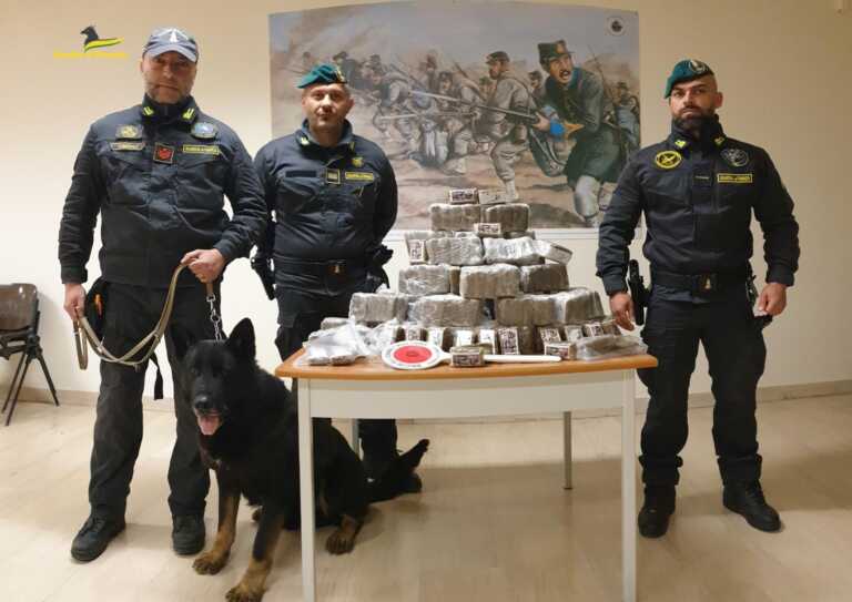 Il fiuto dei cani antidroga scova oltre 80 chili di sostanze stupefacenti nel Foggiano: 8 arresti