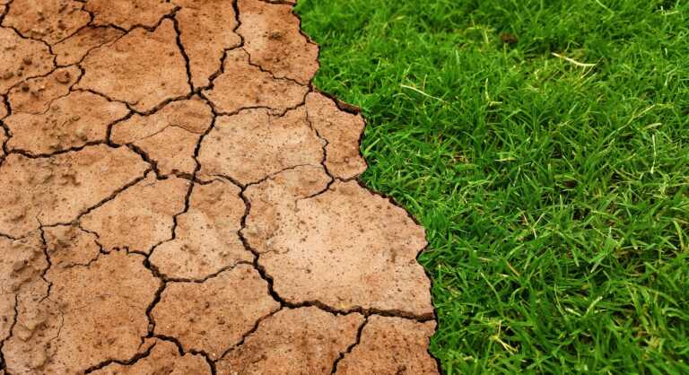 Giornata della Terra, l’Italia travolta dalla siccità: «In Puglia raccolti dimezzati»