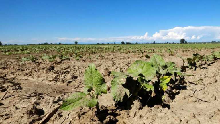 Siccità, strategie e investimenti di Regione Puglia e Aqp per affrontare la crisi idrica