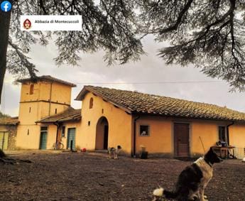Galleria foto '“Stiamo cercando te”, l’abbazia di Montecuccoli cerca volontari estivi' - foto 1