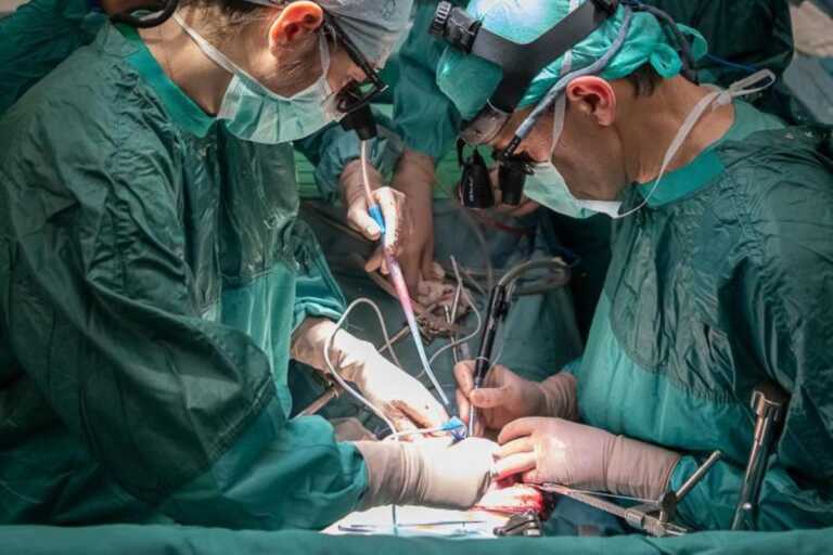 Trapianti, Corato è il comune medio-grande più generoso d’Italia. Leverano sul podio dei medio-piccoli