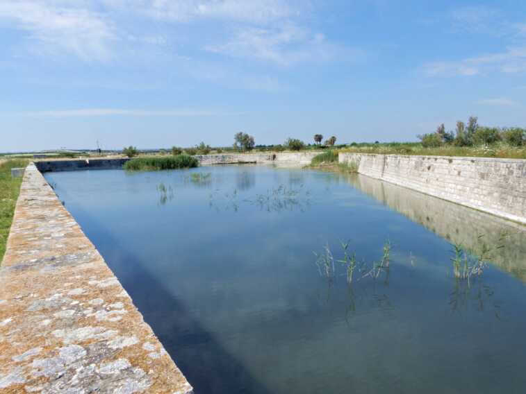Polo oncologico di Trani, gli ambientalisti scettici: «Così si cementifica un’area naturalistica»