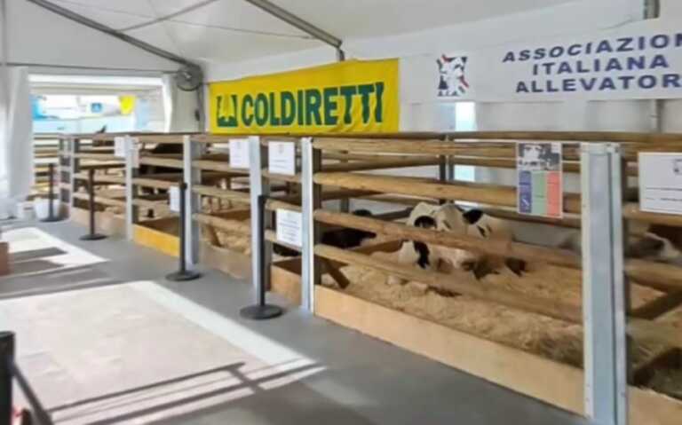 Il lungomare di Bari trasformato in una fattoria per la “Festa dell’educazione alimentare” di Coldiretti