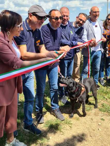Nasce nel Parco dell’Alta Murgia un sentiero attrezzato per ipovedenti – FOTO e VIDEO Nasce nel Parco dell’Alta Murgia un sentiero attrezzato per ipovedenti – FOTO e VIDEO