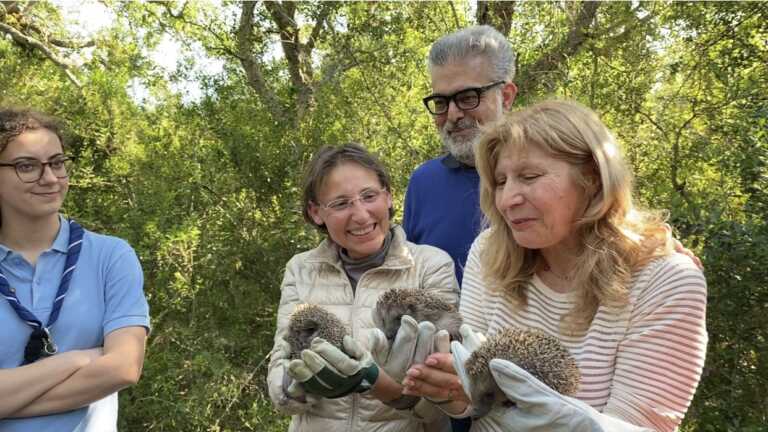Brindisi, rimessi in libertà ricci e gufi: erano stati accolti e curati nel Centro di Fauna Selvatica – FOTO
