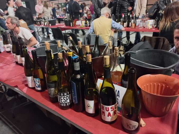 Galleria foto 'Produzione di vino artigianale: successo a Bari per la Fiera “Vini di vignaioli”' - foto 1