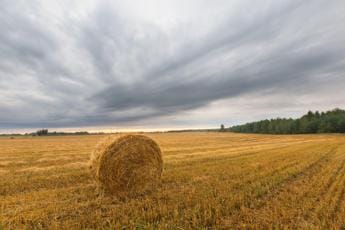 Agroalimentare, Prete (Unioncamere): “In 3 anni perse 21 mila imprese”