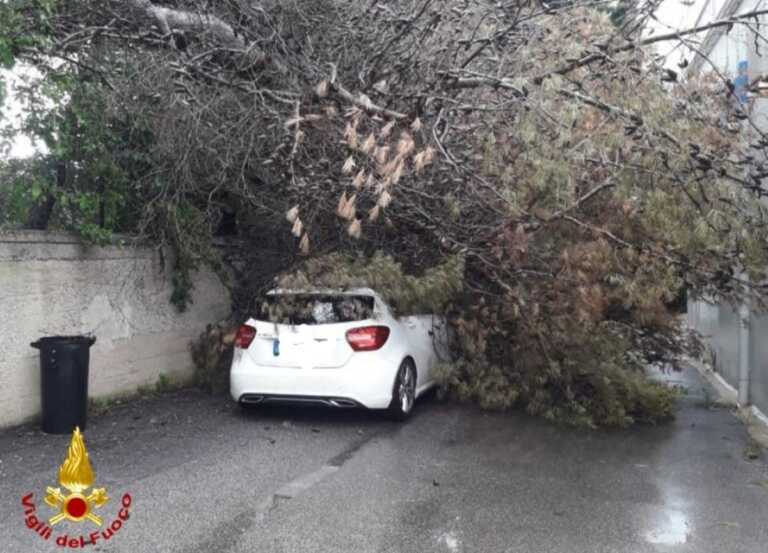 Maltempo, a Brindisi un albero travolge un’auto in transito: illesa la donna al volante