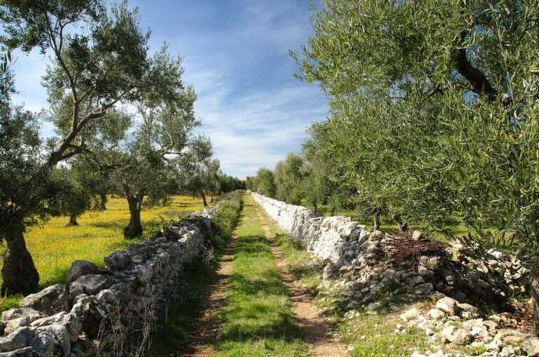 Una centrale a biometano a Bitetto, l’esperto ex Arpa boccia l’idea: «Superata e pericolosa»