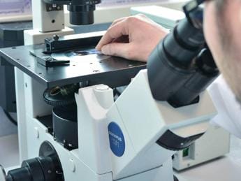 Covid, arriva nuova variante Acrux: segnalata in India e Stati Uniti
