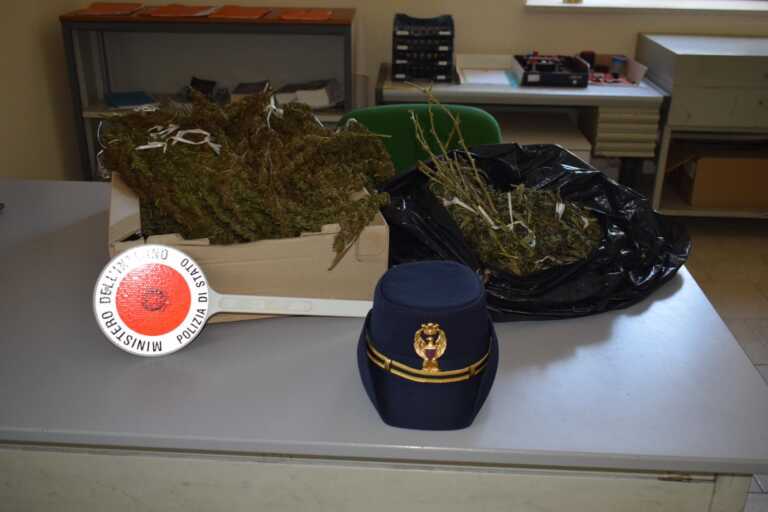 Arrestato un 37enne di Trani: in veranda 3 chili di marijuana pronti per essere venduti