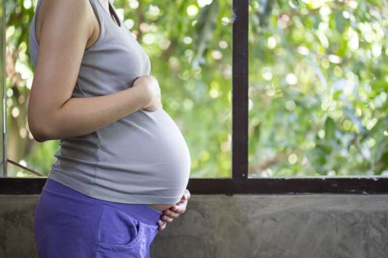 Utero in affitto, a Bari arriva la raccolta firma per renderlo reato universale. FdI: «Pratica aberrante»