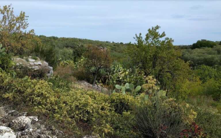 Bisceglie, Lama Santa Croce tra le aree di interesse naturalistico. Maraschio: «Via all’iter del Parco regionale»