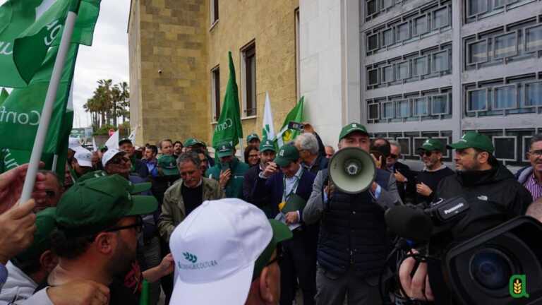 Galleria foto '“L’agricoltura è allo stremo”, in 400 protestano a Bari: consegnato un documento all’assessore Pentassuglia – VIDEO' - foto 1