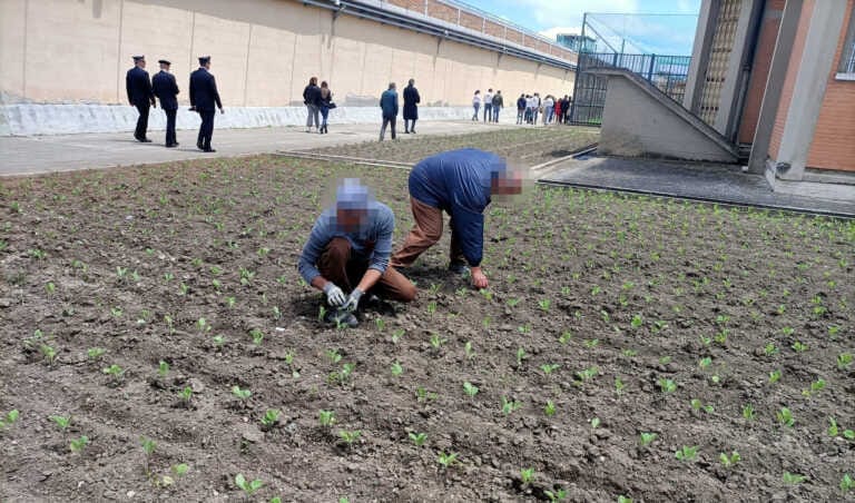 Un orto da coltivare nel carcere di Foggia: il lavoro nei campi per il reinserimento sociale dei detenuti